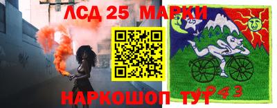 гидропоника Коммунар