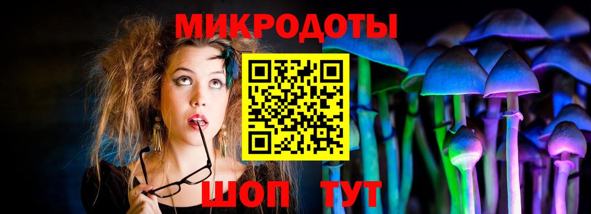 Заринск  Псилоцибиновые грибы ЛСД  Вход с VPN 